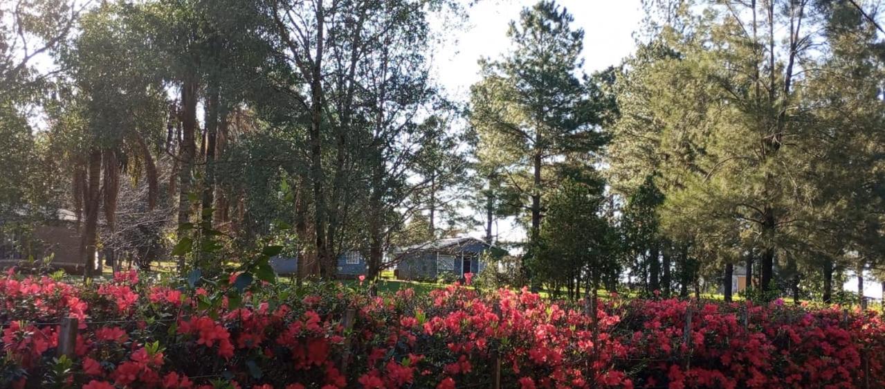 Hotel Las Azaleas Jardin America Exterior photo