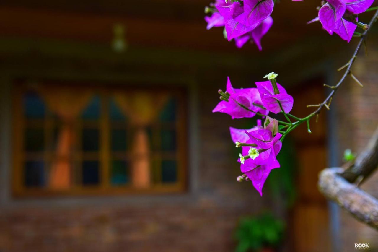 Hotel Las Azaleas Jardin America Exterior photo